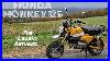 Honda-Monkey-125-Review-And-Ride-The-Good-The-Bad-And-Everything-In-Between-01-ak